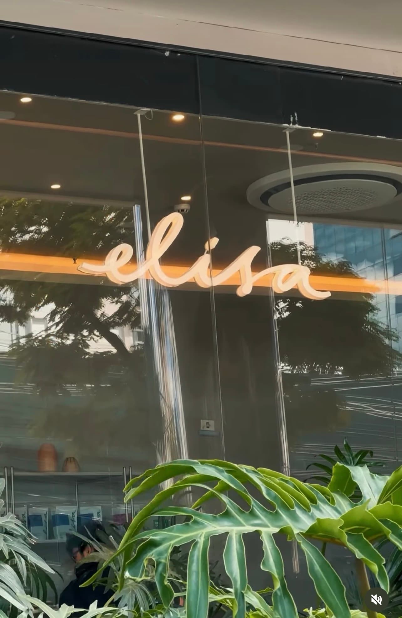 Café coado sendo servido em uma xícara do Elisa Café